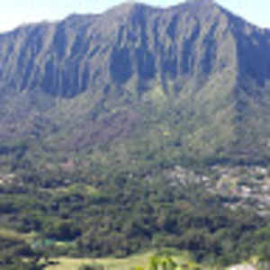 Meet your Posher, Bryce